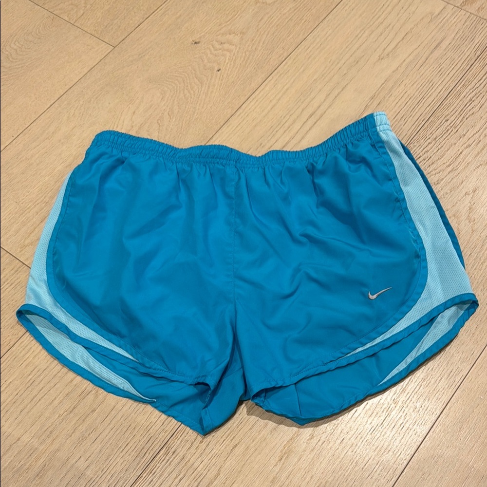 Nike Blue Athletic Shorts